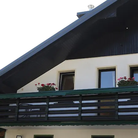 Apartma Sasa Zgornje Jezersko Kültér fotó