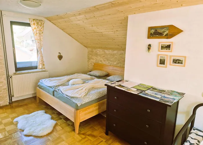 Apartma Sasa