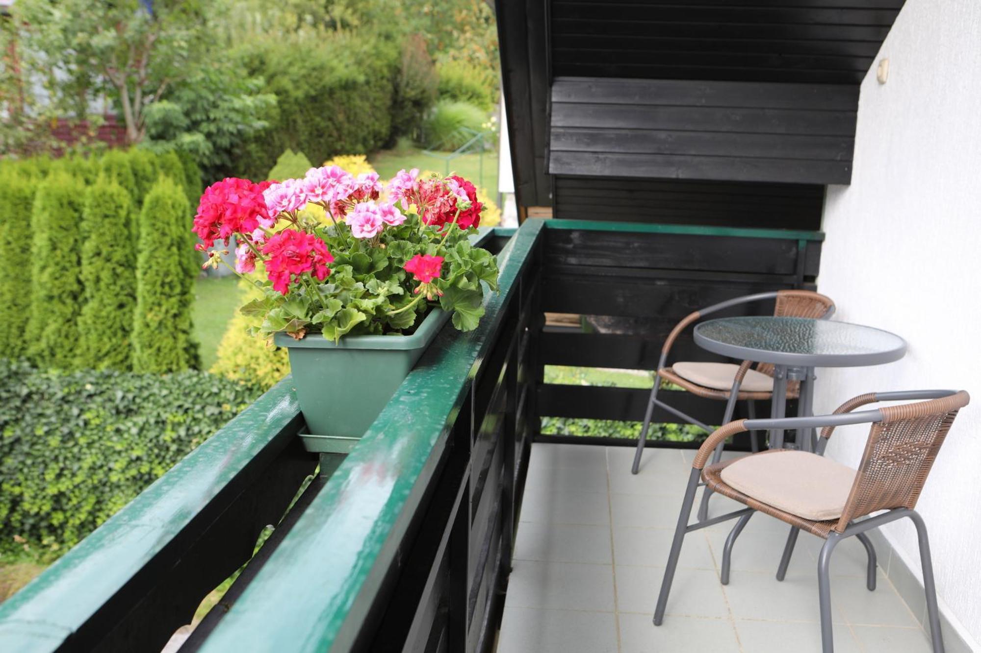 Apartment Apartma Sasa